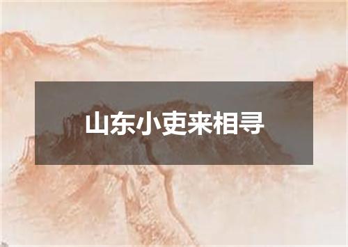 山东小吏来相寻