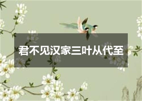 君不见汉家三叶从代至
