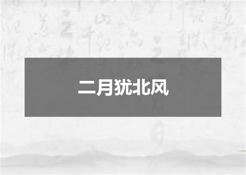 二月犹北风