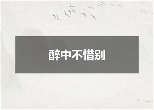 醉中不惜别