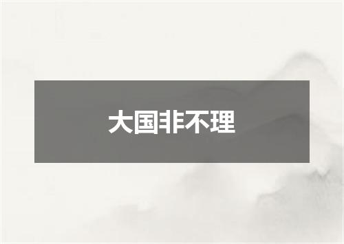 大国非不理