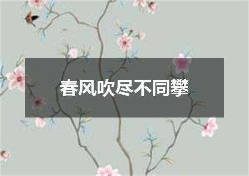 春风吹尽不同攀