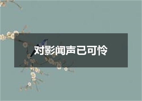 对影闻声已可怜