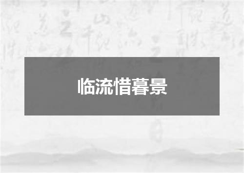 临流惜暮景