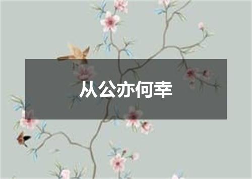 从公亦何幸
