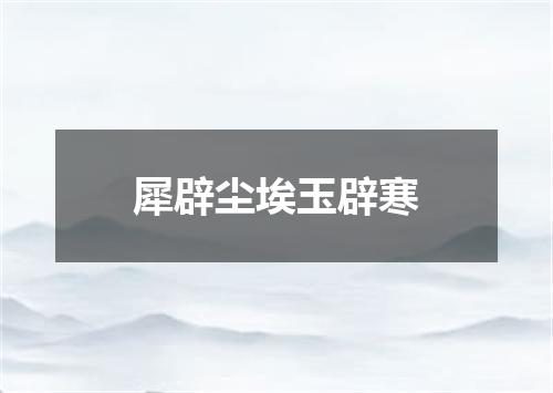 犀辟尘埃玉辟寒