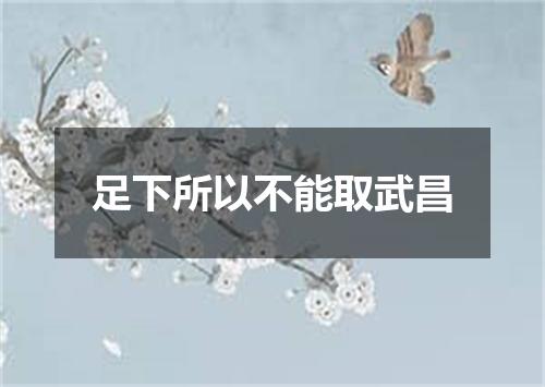 足下所以不能取武昌