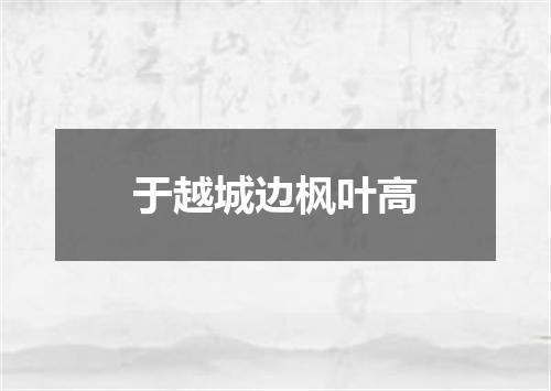 于越城边枫叶高