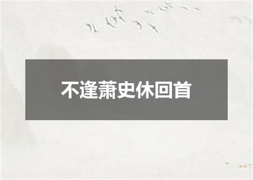 不逢萧史休回首