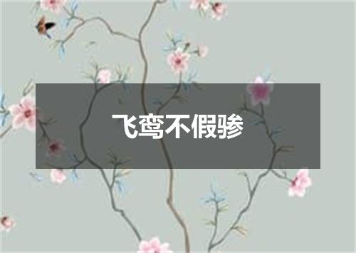 飞鸾不假骖