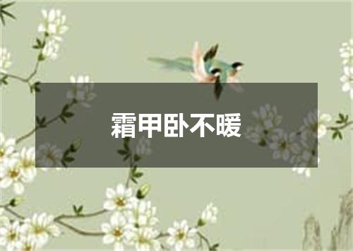 霜甲卧不暖