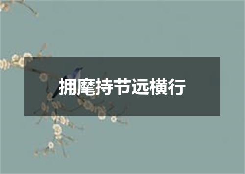 拥麾持节远横行