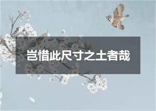 岂惜此尺寸之土者哉