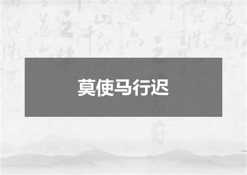 莫使马行迟
