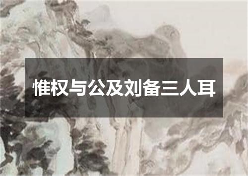 惟权与公及刘备三人耳