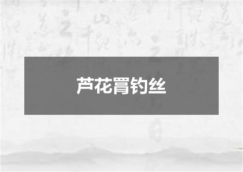 芦花罥钓丝