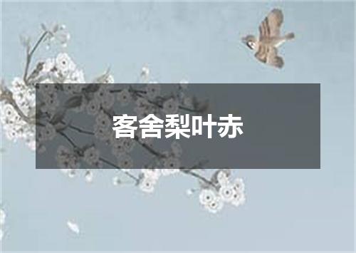 客舍梨叶赤