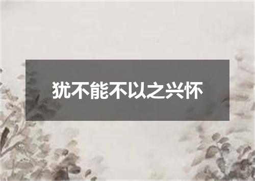 犹不能不以之兴怀