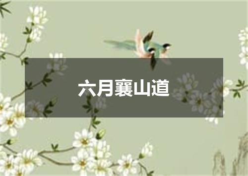 六月襄山道