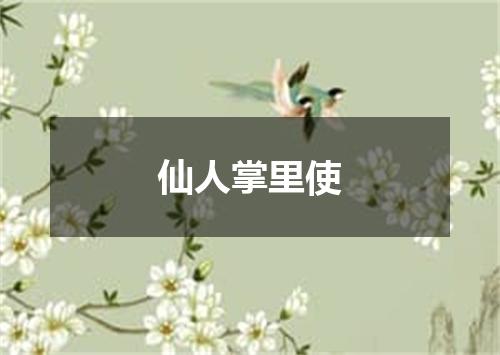 仙人掌里使