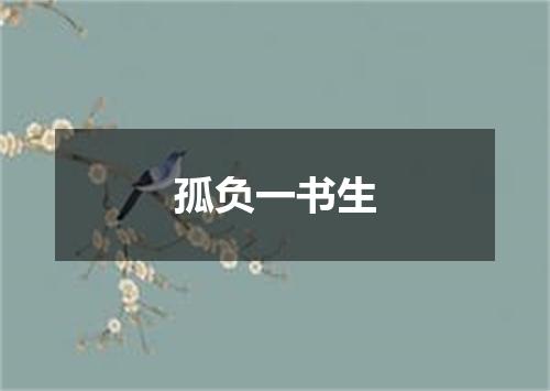 孤负一书生