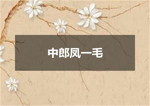 中郎凤一毛