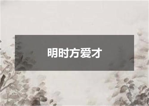 明时方爱才