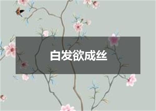 白发欲成丝