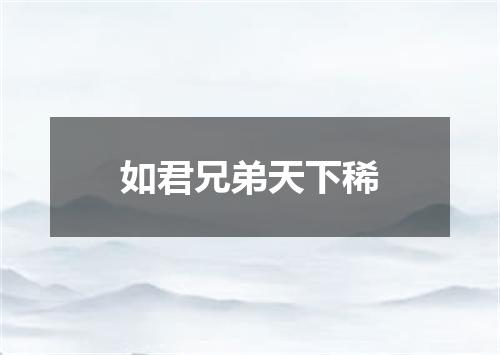 如君兄弟天下稀