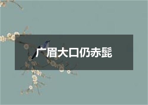 广眉大口仍赤髭