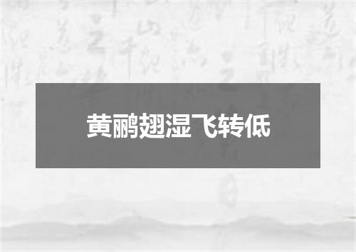 黄鹂翅湿飞转低