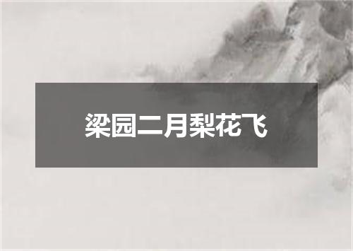 梁园二月梨花飞