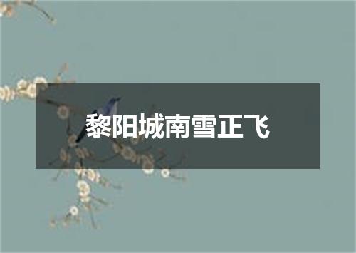 黎阳城南雪正飞