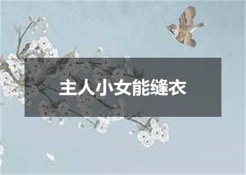 主人小女能缝衣