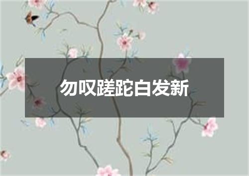 勿叹蹉跎白发新