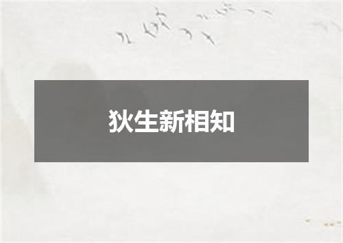 狄生新相知