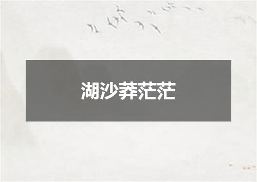 湖沙莽茫茫