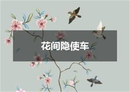 花间隐使车
