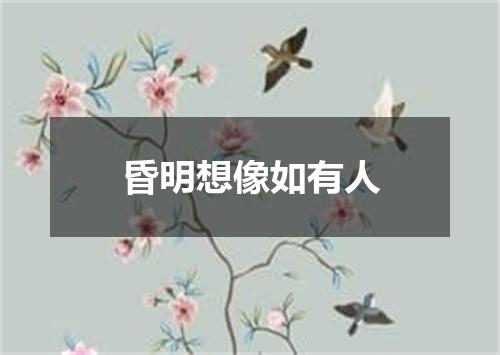 昏明想像如有人