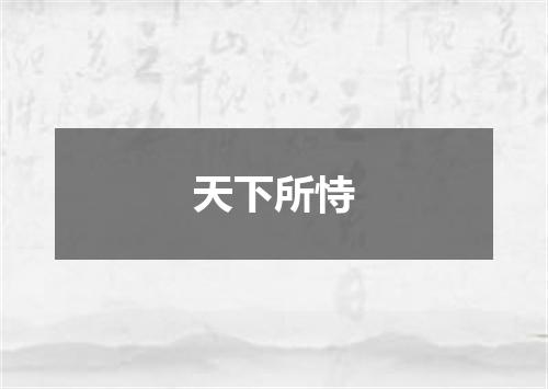 天下所恃