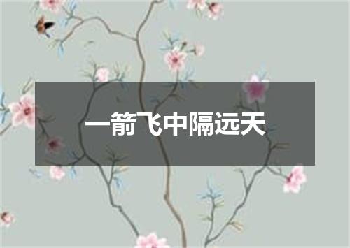 一箭飞中隔远天