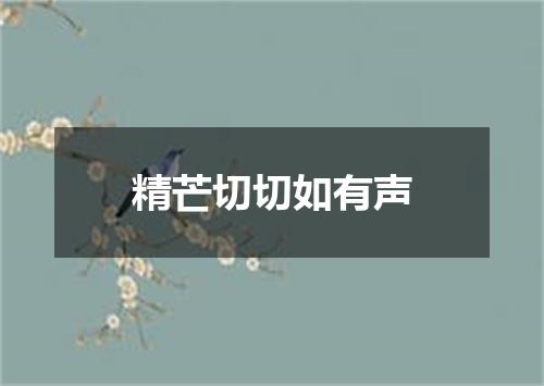精芒切切如有声