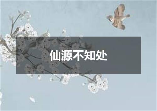 仙源不知处