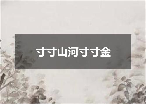 寸寸山河寸寸金