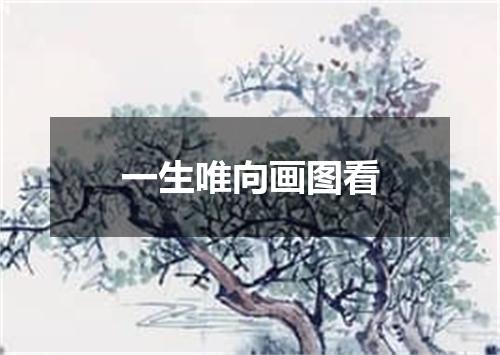 一生唯向画图看