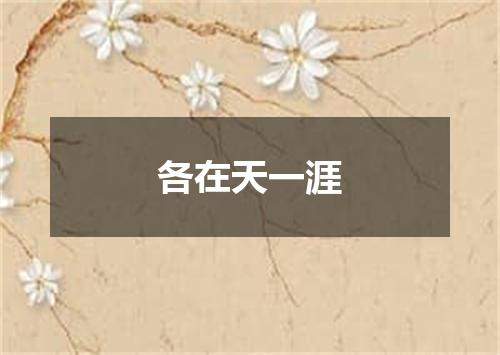 各在天一涯
