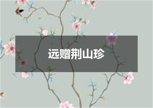 远赠荆山珍