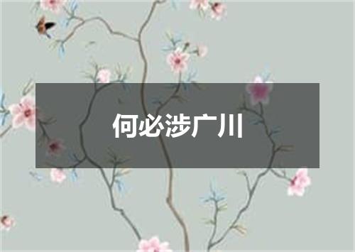 何必涉广川