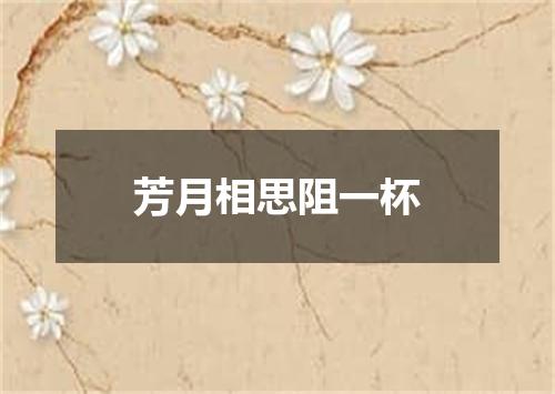 芳月相思阻一杯