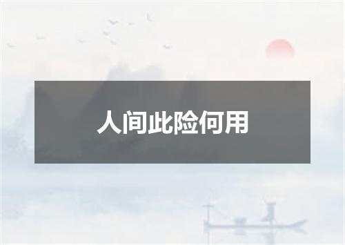 人间此险何用
